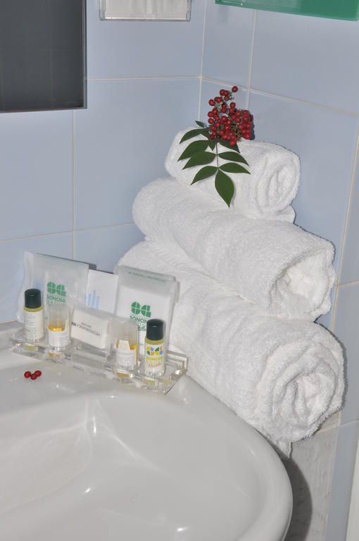 Green Hotel Poviglio  Bilik gambar